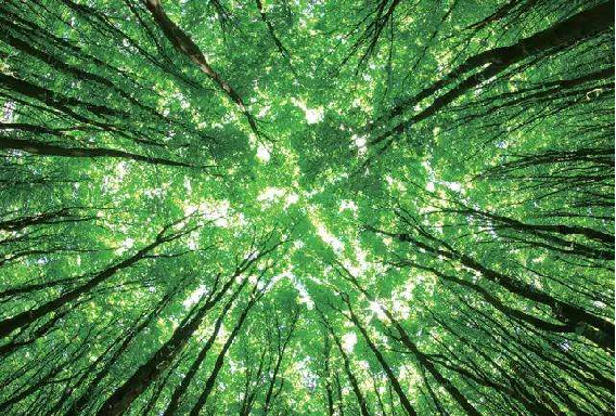 工业大吊扇 工业大吊扇